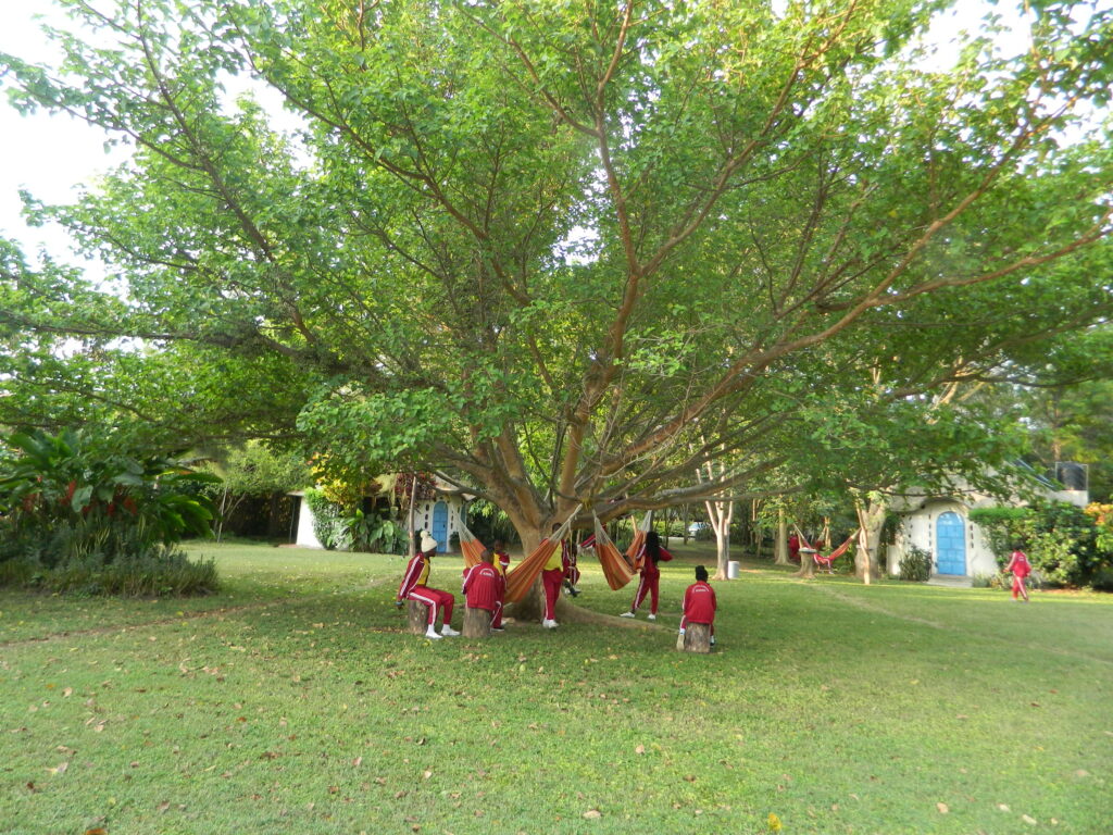 DSCN8151